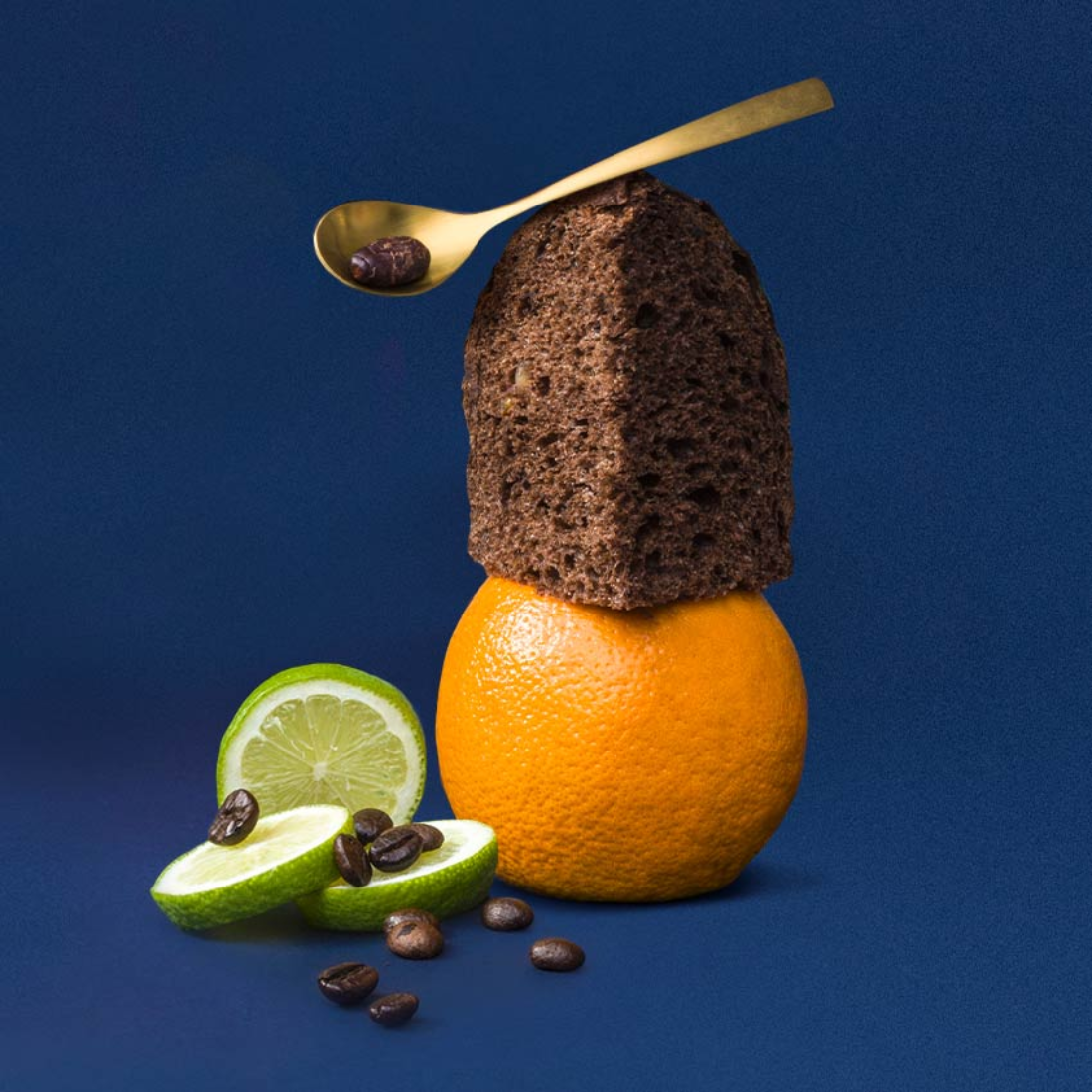 Di Stefano Panettone Cocoa and Citrus of Sicily