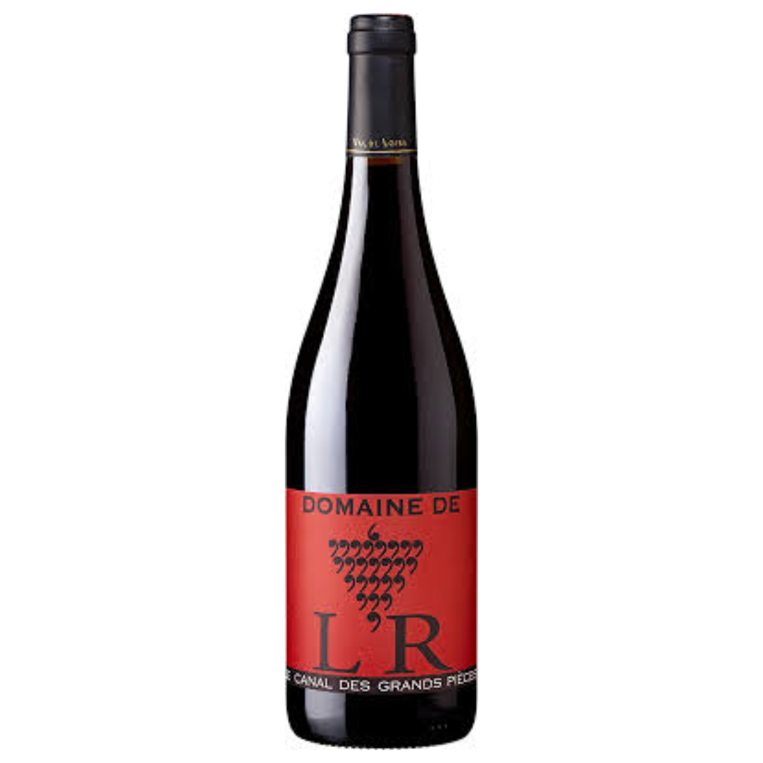 Domaine de L’R “Le Canal des Grands Pièces” Chinon 2023