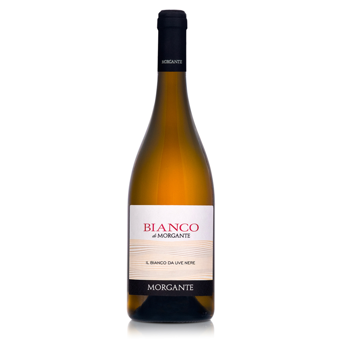 Morgante Bianco by Morgante 2025