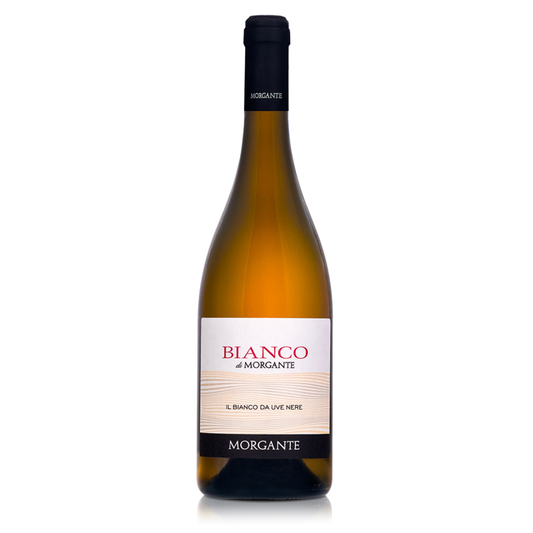 Morgante Bianco by Morgante 2025
