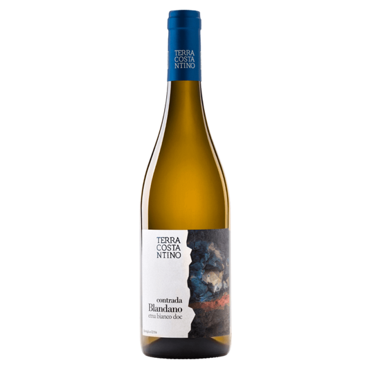 Terra Costantino Contrada Blandano Etna White DOC 2021