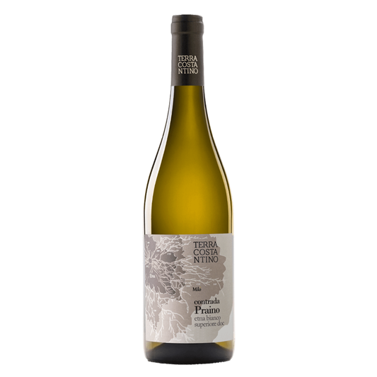 Terra Costantino Contrada Praino Etna Bianco Superiore DOC 2023